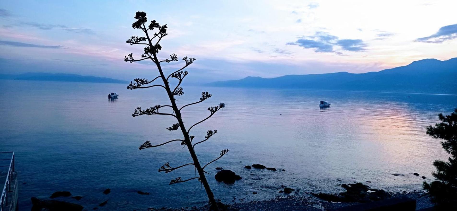 Apartment With View In Rijeka Zewnętrze zdjęcie